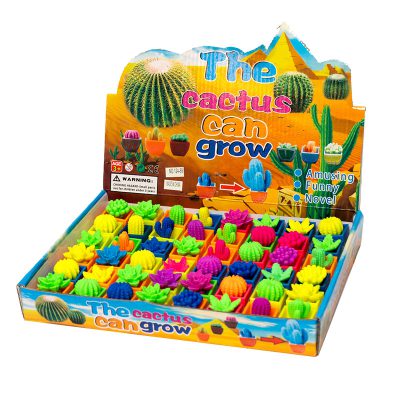 Мини кактуси в дисплей